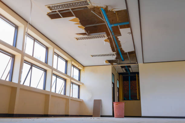 Best Mold removal after water damage  in Columbia, MO