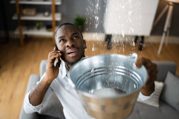 Best Carpet water damage restoration  in Columbia, MO