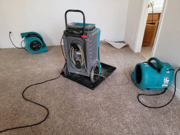 Best Water damage cleanup near me  in Columbia, MO