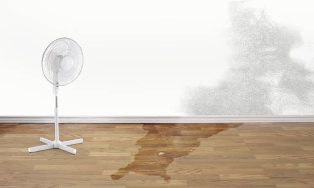 24/7 water damage repair in Columbia, MO