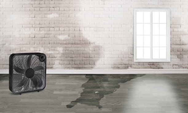 Best Ceiling water damage repair  in Columbia, MO