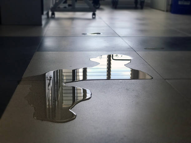 Best Water damage restoration near me  in Columbia, MO