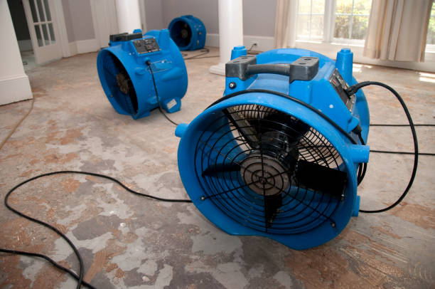 Best 24-hour water damage restoration  in Columbia, MO